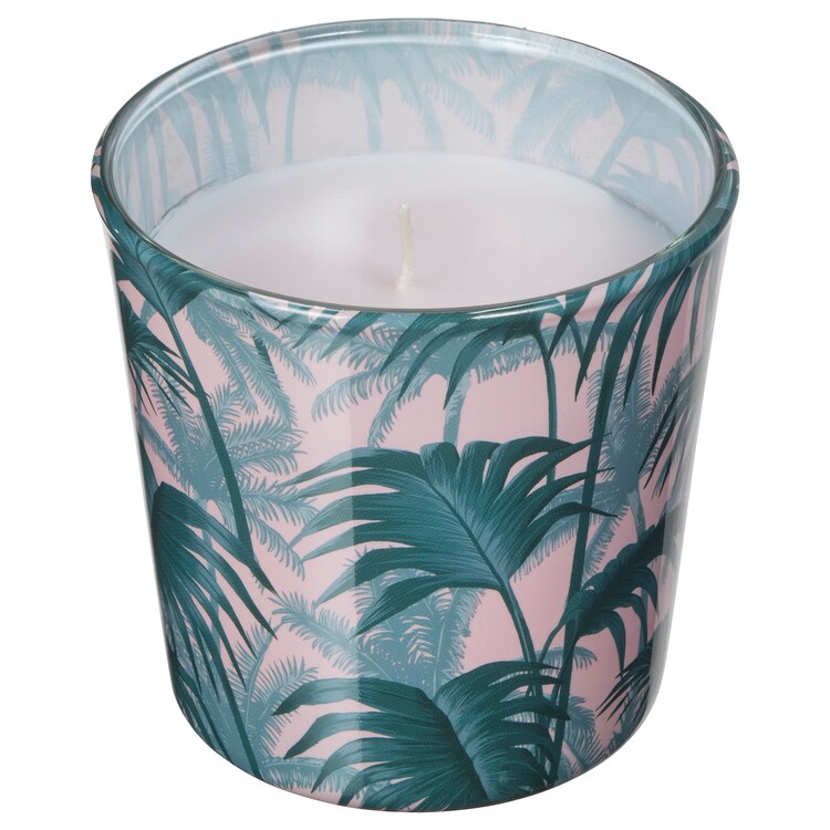 AVLÅNG

Unscented candle in glass, palm leaf green7.5 cm