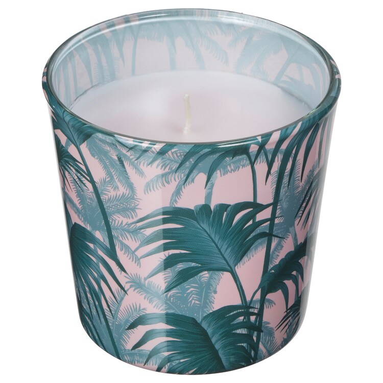AVLÅNGUnscented candle in glass, palm leaf green7.5 cm
