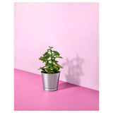 BINTJE. Plant pot, galvanised, 9 cm