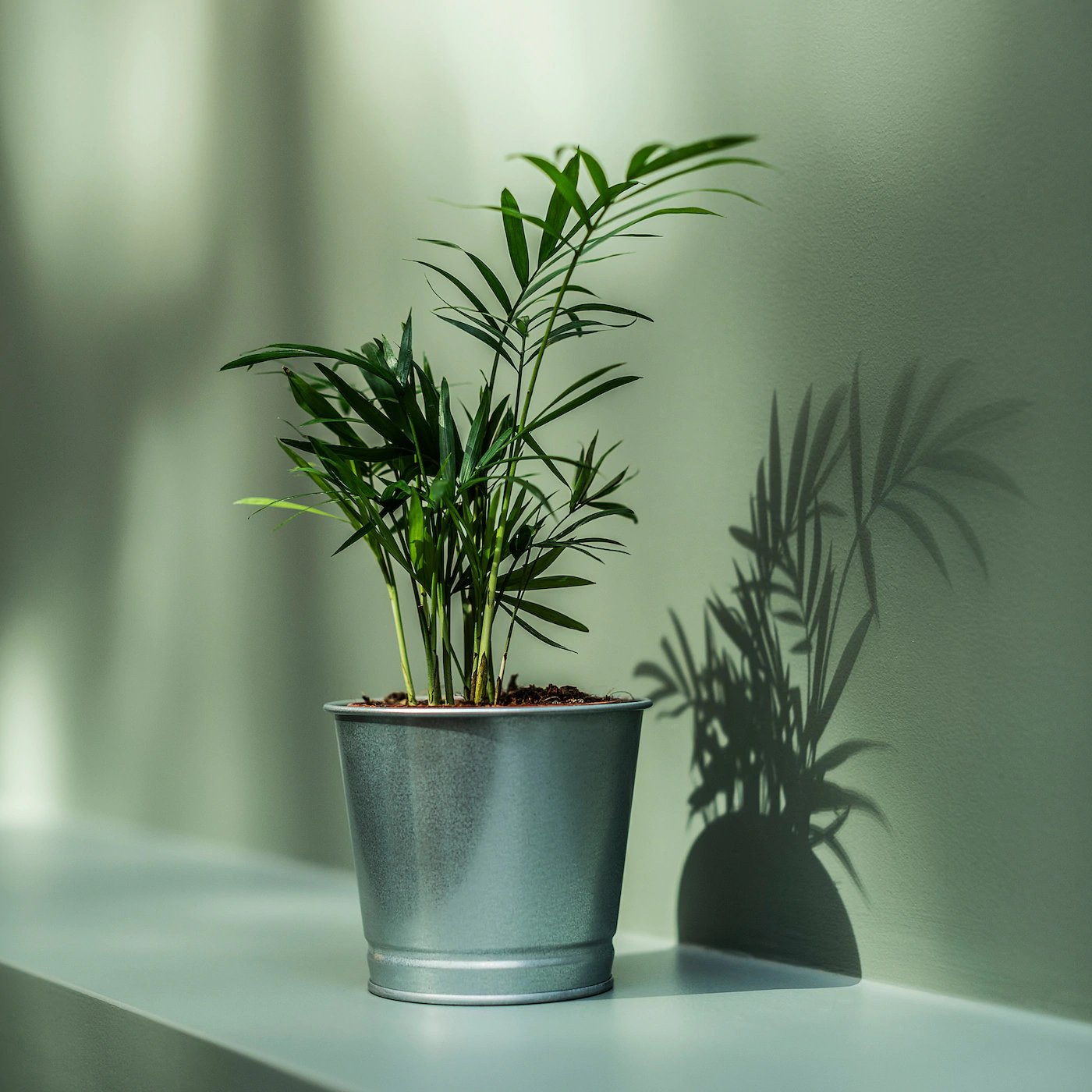BINTJE. Plant pot, galvanised, 9 cm