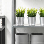 BINTJE. 

Plant pot, galvanised, 9 cm