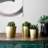 DAIDAIPlant pot, brass-colour 9 cm