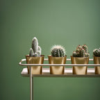 DAIDAI Plant pot, brass-colour 12 cm