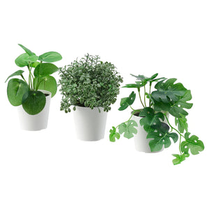 FEJKA Artifi potted plant w pot, set of 3, in/outdoor green 6 cm
