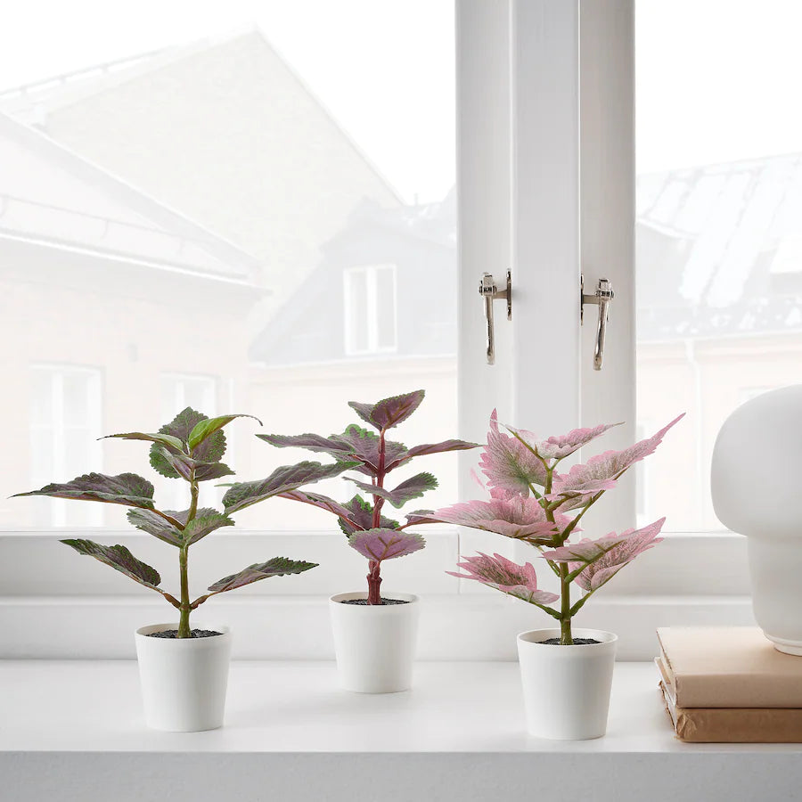 FEJKA Artificial potted plant pot, set of 3, in/outdoor Painted nettle, 6 cm