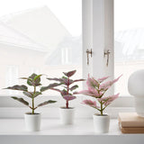 FEJKA Artificial potted plant pot, set of 3, in/outdoor Painted nettle, 6 cm