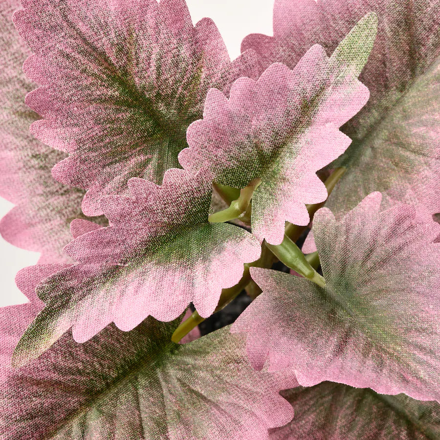 FEJKA Artificial potted plant pot, set of 3, in/outdoor Painted nettle, 6 cm