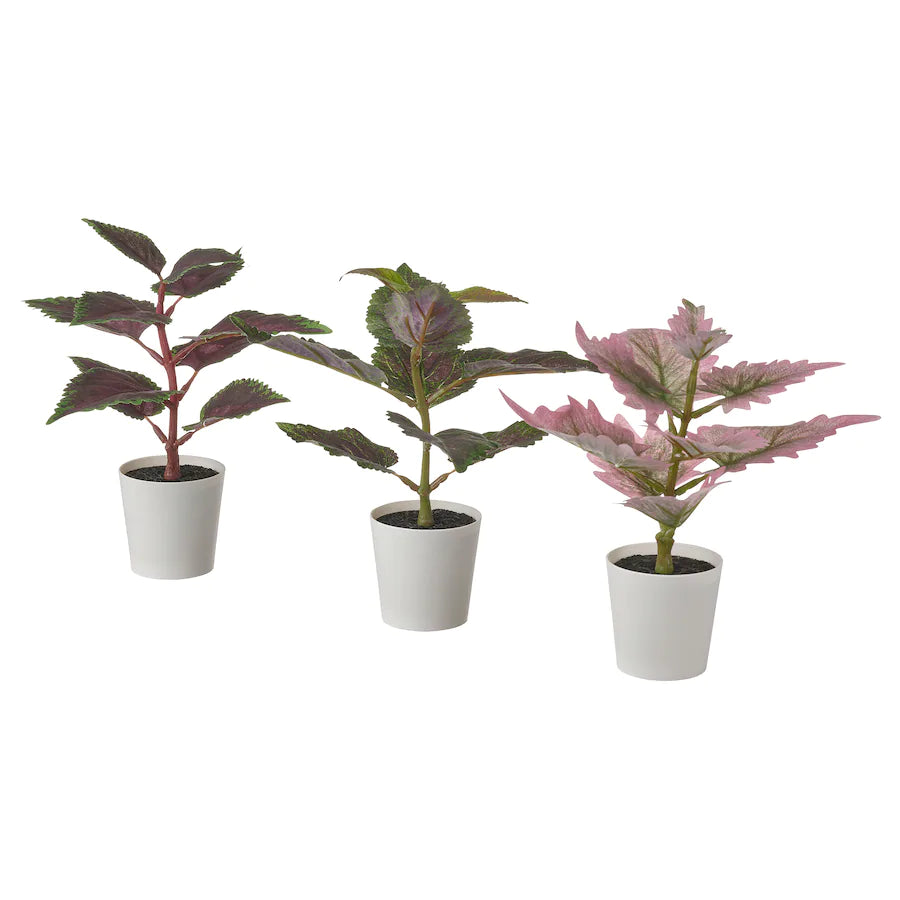 FEJKA Artificial potted plant pot, set of 3, in/outdoor Painted nettle, 6 cm
