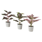 FEJKA Artificial potted plant pot, set of 3, in/outdoor Painted nettle, 6 cm