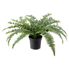 IKEA Fejka Artificial potted plants in Pakistan  at homesop.com - best home decor online store in Pakistan.
