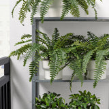 IKEA Fejka Artificial potted plants in Pakistan at homesop.com - best home decor online store in Pakistan.