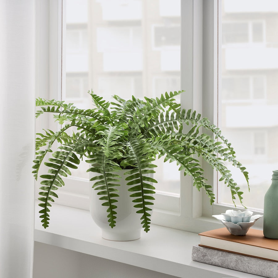 house plants in pakistan IKEA Artificial potted plants in Pakistan – HomesopSolutions