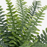 IKEA Fejka Artificial potted plants in Pakistan at homesop.com - best home decor online store in Pakistan.