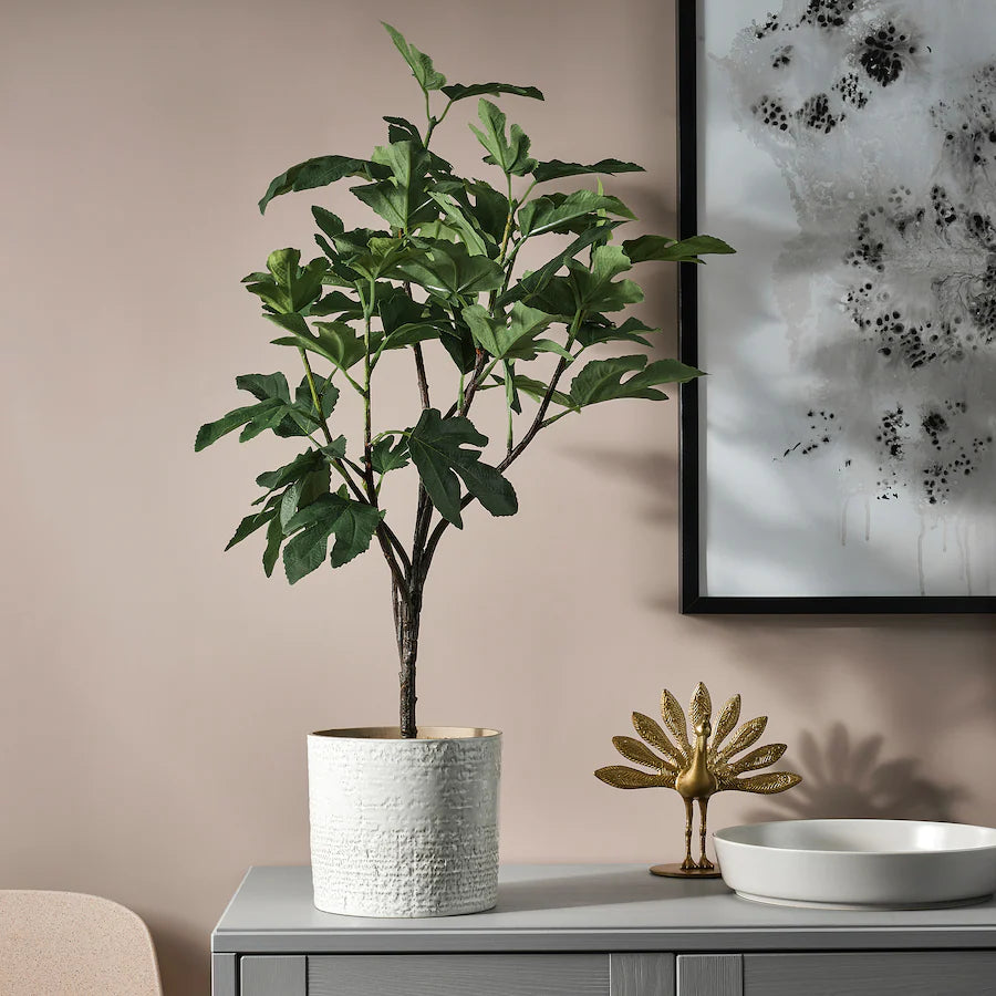 FEJKA Artificial potted plant, in/outdoor Fig, 15 cm