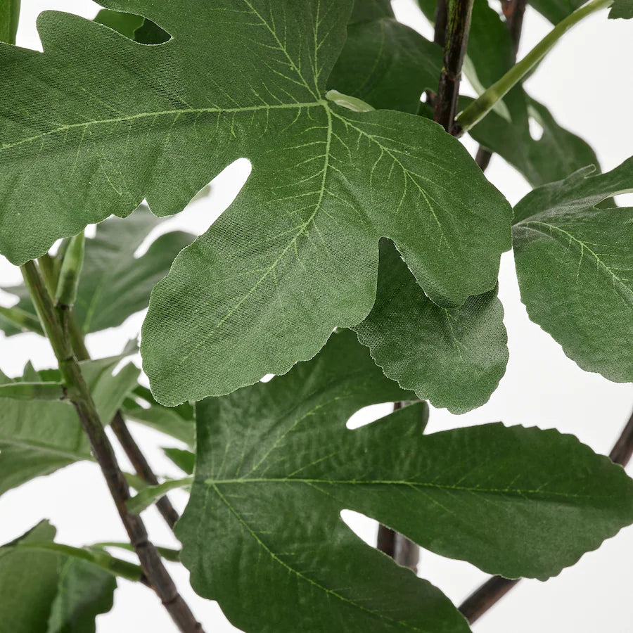 FEJKA Artificial potted plant, in/outdoor Fig, 15 cm