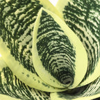 FEJKA Artificial potted snake plant