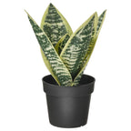 FEJKA Artificial potted snake plant
