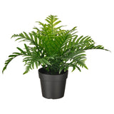 FEJKA Artificial potted plant, in/outdoor Whitley Giant 9 cm
