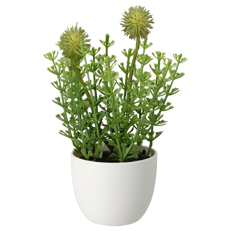 FEJKA Artificial potted plant with pot, in/outdoor grass 6 cm