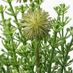 FEJKA Artificial potted plant with pot, in/outdoor grass 6 cm