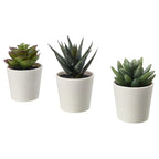 FEJKA

Artificial potted plant with pot, in/outdoor 3 pack
