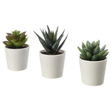 FEJKAArtificial potted plant with pot, in/outdoor 3 pack