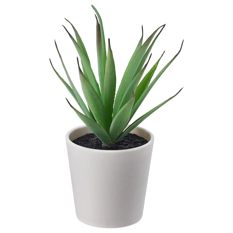 FEJKA Artificial potted plant with pot, in/outdoor Succulent 6 cm