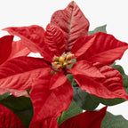 FEJKA Artificial flower pot, indoor/outdoor