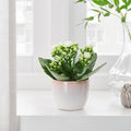 GRÄDDÄPPLE

Plant pot, in/outdoor pink/white