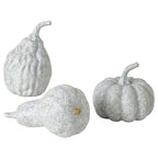 HÖSTKVÄLL Decoration pumpkin, set of 3