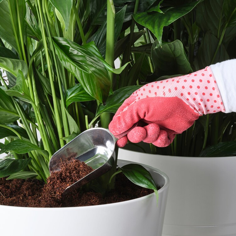 IKEA 365+

Scoop set of 2, metal