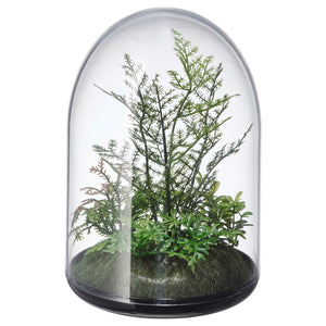 INVÄNDIG Artificial terrarium, dome