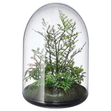 INVÄNDIG Artificial terrarium, dome