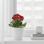 MUSKOT

Plant pot, white 