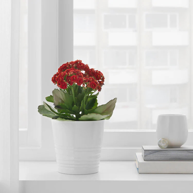 MUSKOT

Plant pot, white 