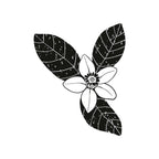 IKEA Scented Decoration stick- IKEA Pakistan by homesop.com Pakistan's best online shopping home decor store. 