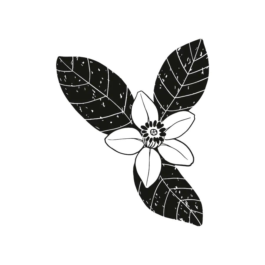 IKEA Scented Decoration stick- IKEA Pakistan by homesop.com Pakistan's best online shopping home decor store. 