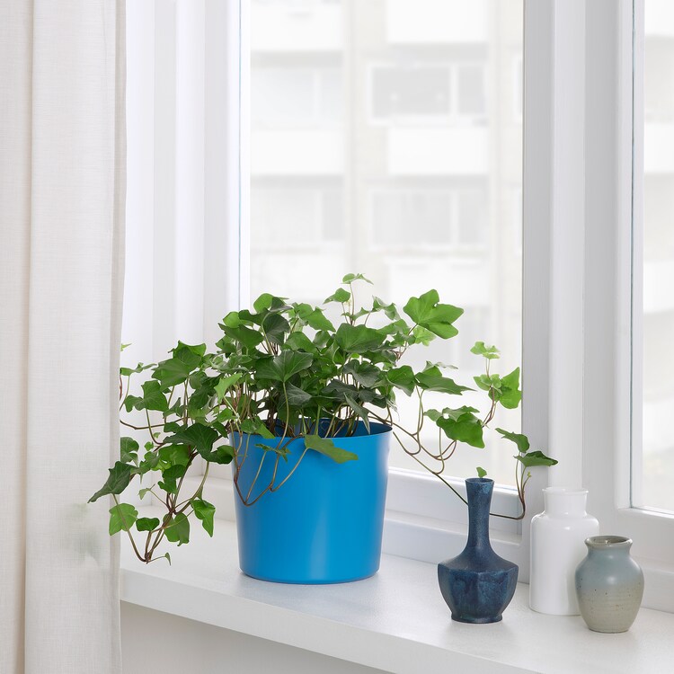 ikea blue plant pot IKEA OMFÅNG Plant pot