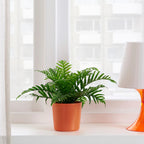 OMFÅNG

Plant pot, in/outdoor orange