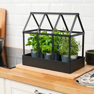 IKEA Greenhouse, in/outdoor black in Pakistan , IKEA green house available at homesop.com .