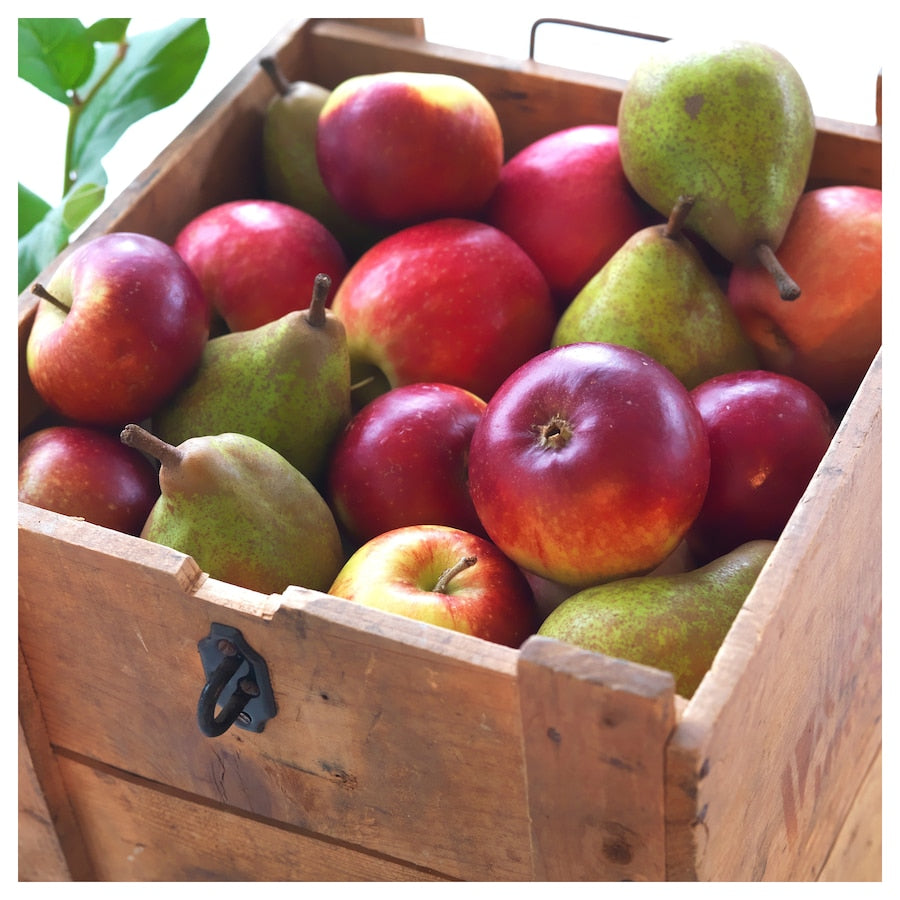 IKEA SINNLIG Scented candle - IKEA in Pakistan  at homesop.com