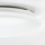 SJÖGÅNGLED ceiling/wall lamp, white