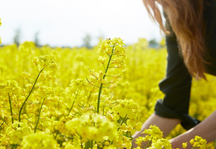 VÄLDOFT

Scented candle in glass, wild strawberry/dark pink8 cm