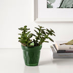 VÄLDOFT

Scented candle in glass, wild strawberry/dark pink8 cm